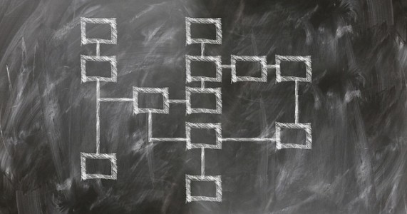 La tutelle et son organisation