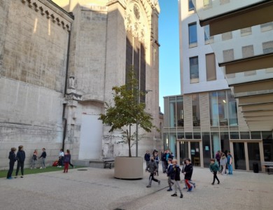 Ecole du Saint Sacrement à Lyon